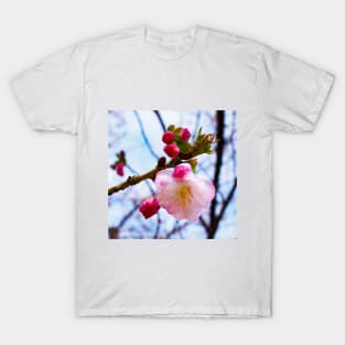 Photography - First sign of spring T-Shirt